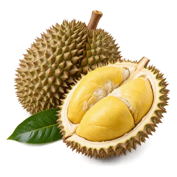 Buah durian